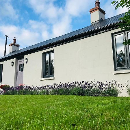 Lavender Cottage - 2 Bedroom Home Newbridge  Esterno foto