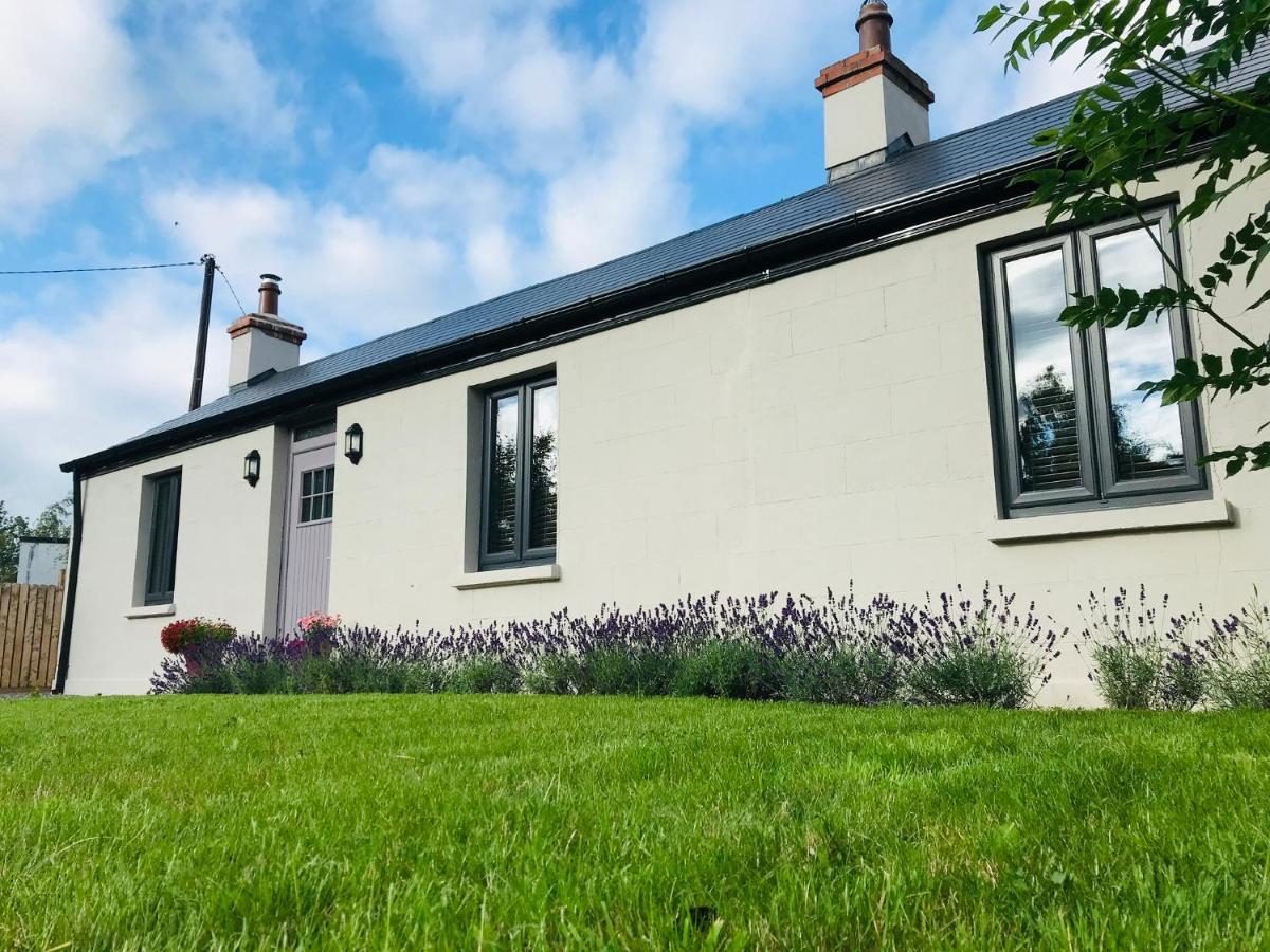 Lavender Cottage - 2 Bedroom Home Newbridge  Esterno foto