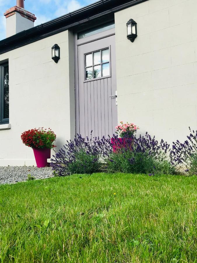 Lavender Cottage - 2 Bedroom Home Newbridge  Esterno foto